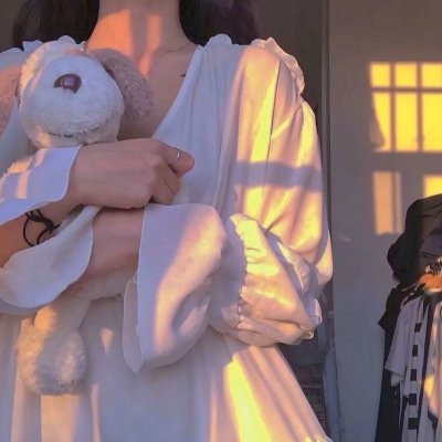 进阶的王妃 封面