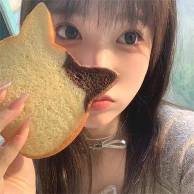 尖鼠杀手 封面